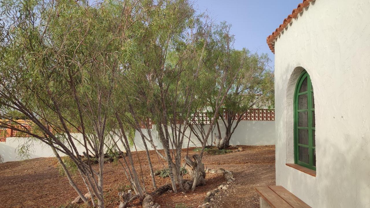 Fuerteventura Tikuna La Oliva
